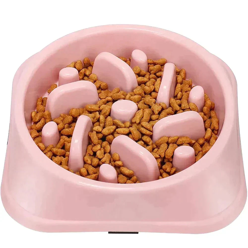 Pet Slow Feeder Bowl Petritzy