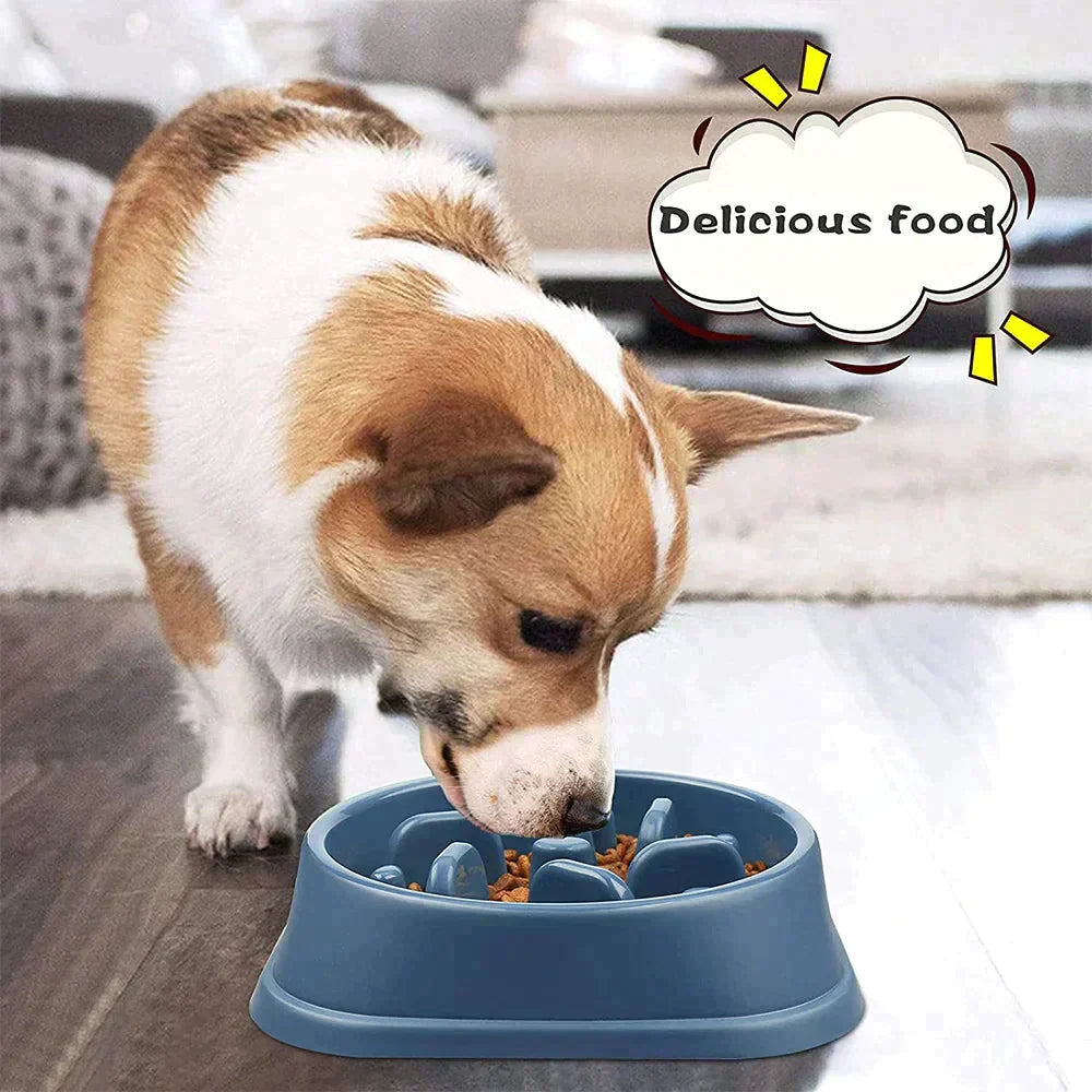 Pet Slow Feeder Bowl Petritzy