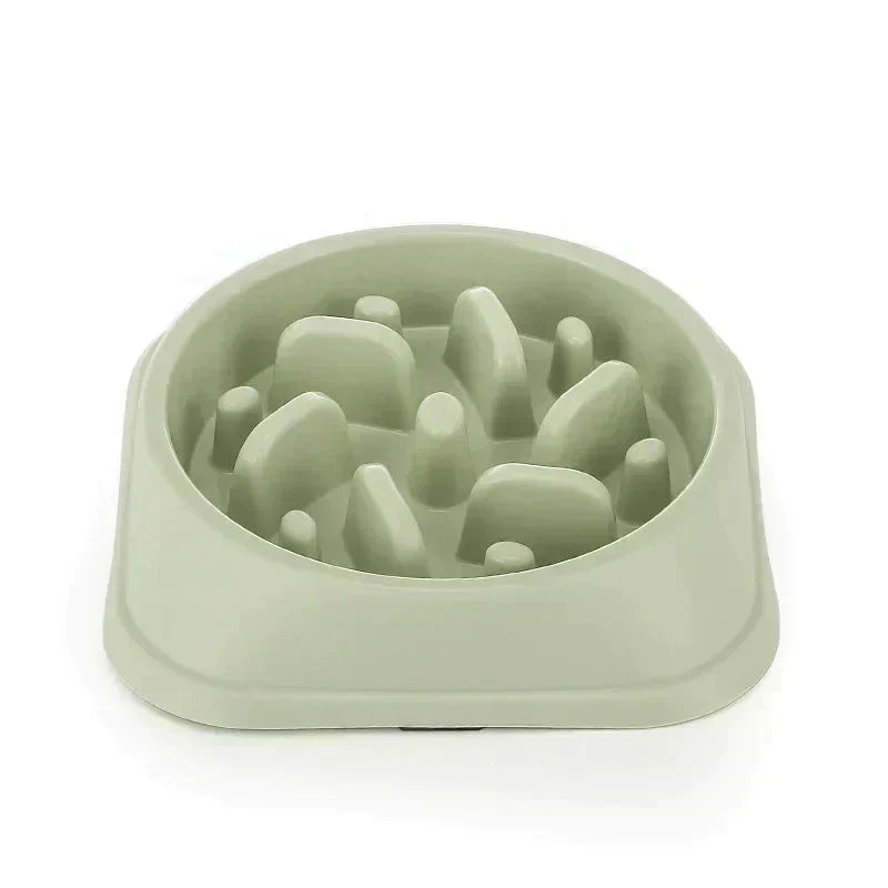 Pet Slow Feeder Bowl Petritzy